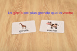 BOHS French Literacy Wiz Fun Game - Lower Case Sight Words - 60 Flash Cards - Preschool Language Learning Educational Toys…