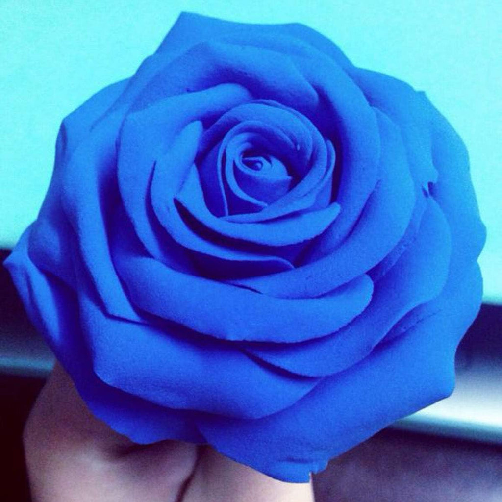 BOHS Blue Modeling Foam Clay - Squishy,Soft, Air Dry -for School Project,Cosplay,Fake Bake, Slime Supplies-1.1 Lbs/ 500 Grams