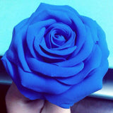 BOHS Blue Modeling Foam Clay - Squishy,Soft, Air Dry -for School Project,Cosplay,Fake Bake, Slime Supplies-1.1 Lbs/ 500 Grams