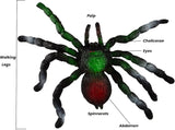 BOHS Jiggly Spider Mom and Spiderlings - Stretch & Squeeze - 4-Piece Rubber Realistic Big Soft - Halloween Squishy Toy - Prank Bugs