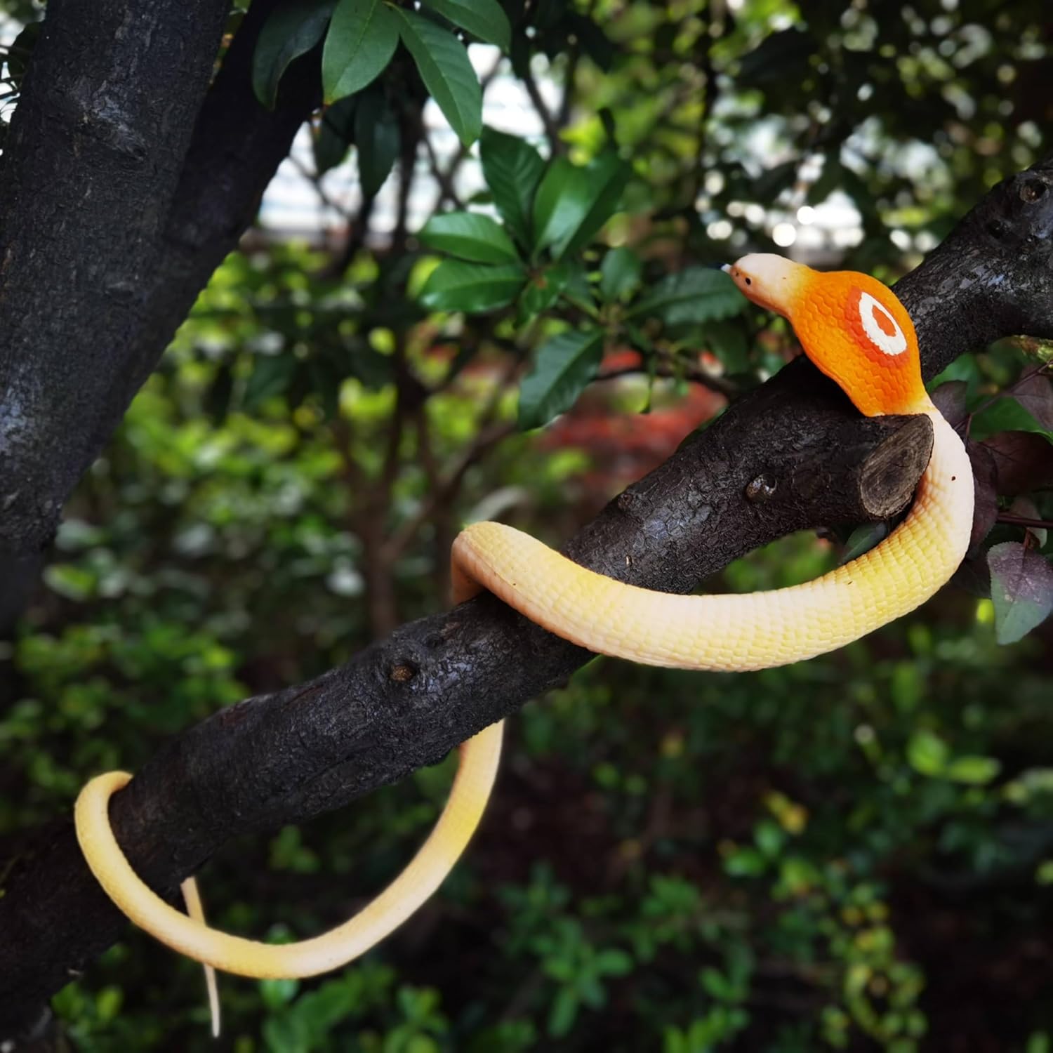 BOHS Elastic Rubber Cobra Snake - Stretch & Swing- Prank Toy Scary Lifelike Animal Model - 100 CM / 40 Inches