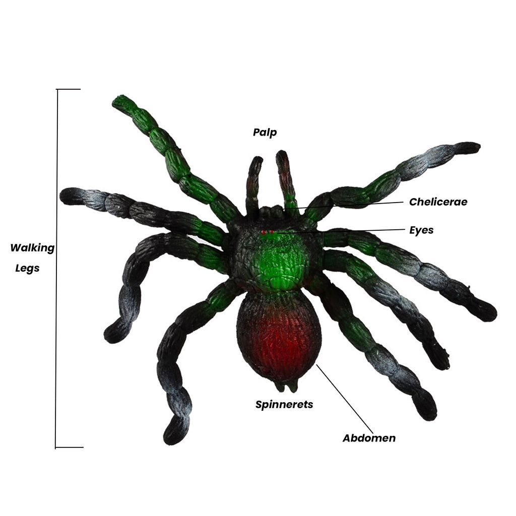 Realistic Squishy Spider - Halloween Prank Toy Scary Simulation Animal Model -Big Soft Stretchy- Stress Reliever